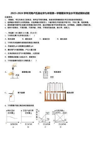 2023-2024学年河南卢氏县化学九年级第一学期期末学业水平测试模拟试题含解析.doc