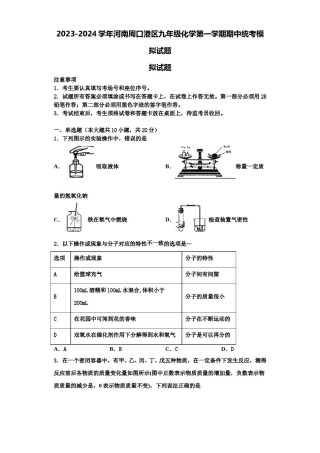 2023-2024学年河南周口港区九年级化学第一学期期中统考模拟试题含解析.doc