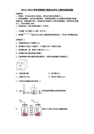 2023-2024学年河南周口港区化学九上期中监测试题含解析.doc