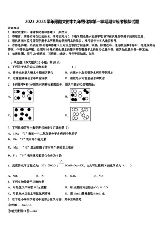 2023-2024学年河南大附中九年级化学第一学期期末统考模拟试题含解析.doc