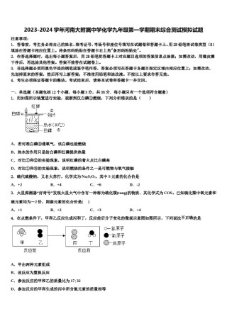 2023-2024学年河南大附属中学化学九年级第一学期期末综合测试模拟试题含解析.doc