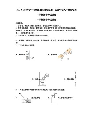 2023-2024学年河南洛阳市洛龙区第一实验学校九年级化学第一学期期中考试试题含解析.doc