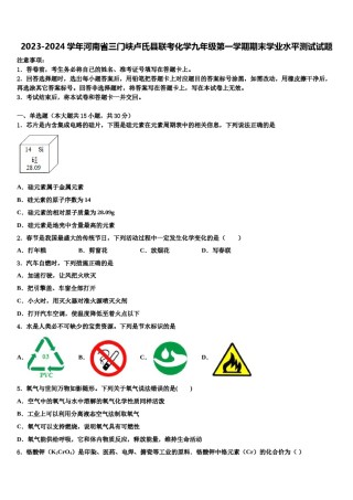 2023-2024学年河南省三门峡卢氏县联考化学九年级第一学期期末学业水平测试试题含解析.doc