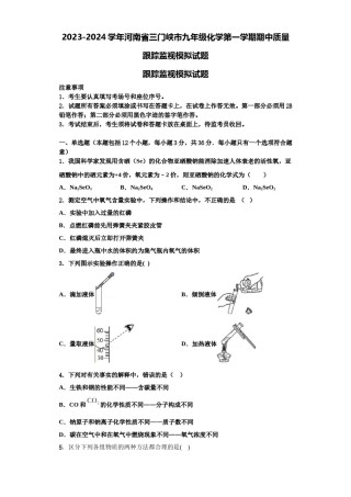 2023-2024学年河南省三门峡市九年级化学第一学期期中质量跟踪监视模拟试题含解析.doc