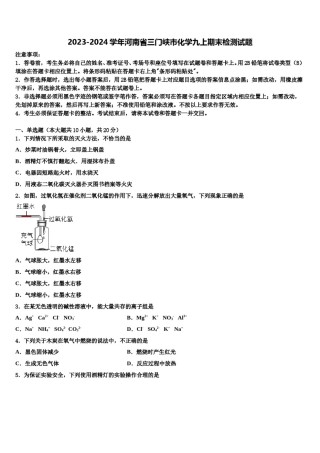 2023-2024学年河南省三门峡市化学九上期末检测试题含解析.doc