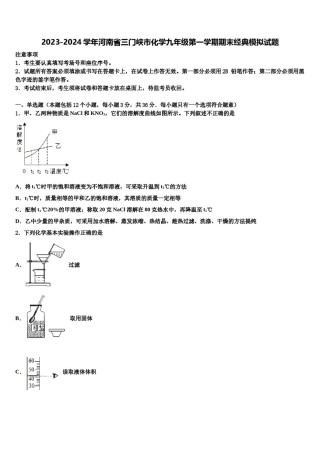 2023-2024学年河南省三门峡市化学九年级第一学期期末经典模拟试题含解析.doc