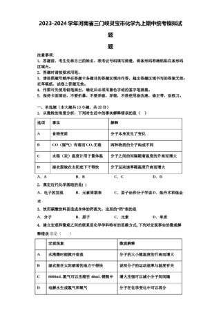 2023-2024学年河南省三门峡灵宝市化学九上期中统考模拟试题含解析.doc