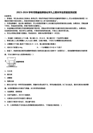 2023-2024学年河南省临颍县化学九上期末学业质量监测试题含解析.doc
