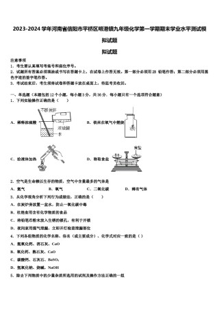 2023-2024学年河南省信阳市平桥区明港镇九年级化学第一学期期末学业水平测试模拟试题含解析.doc
