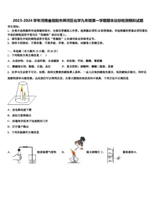 2023-2024学年河南省信阳市浉河区化学九年级第一学期期末达标检测模拟试题含解析.doc
