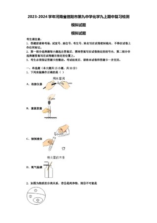 2023-2024学年河南省信阳市第九中学化学九上期中复习检测模拟试题含解析.doc