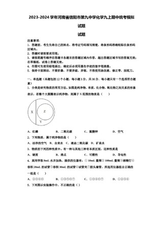 2023-2024学年河南省信阳市第九中学化学九上期中统考模拟试题含解析.doc