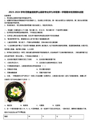 2023-2024学年河南省信阳罗山县联考化学九年级第一学期期末检测模拟试题含解析.doc