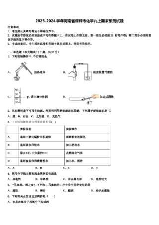 2023-2024学年河南省偃师市化学九上期末预测试题含解析.doc