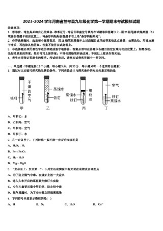 2023-2024学年河南省兰考县九年级化学第一学期期末考试模拟试题含解析.doc