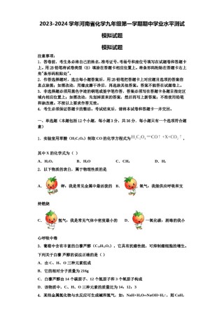 2023-2024学年河南省化学九年级第一学期期中学业水平测试模拟试题含解析.doc