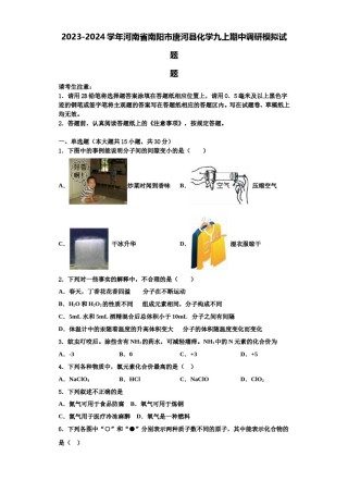 2023-2024学年河南省南阳市唐河县化学九上期中调研模拟试题含解析.doc
