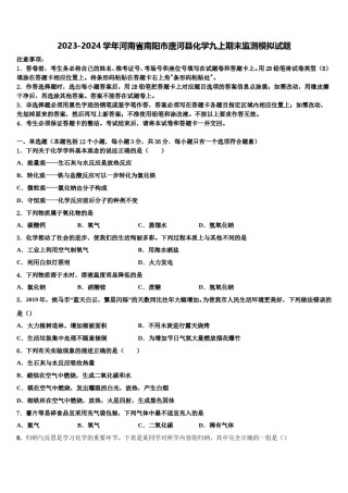 2023-2024学年河南省南阳市唐河县化学九上期末监测模拟试题含解析.doc