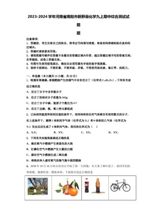 2023-2024学年河南省南阳市新野县化学九上期中综合测试试题含解析.doc