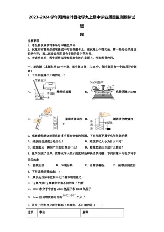 2023-2024学年河南省叶县化学九上期中学业质量监测模拟试题含解析.doc