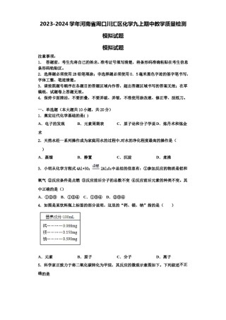 2023-2024学年河南省周口川汇区化学九上期中教学质量检测模拟试题含解析.doc