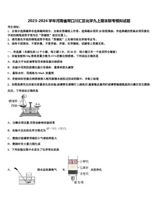 2023-2024学年河南省周口川汇区化学九上期末联考模拟试题含解析.doc