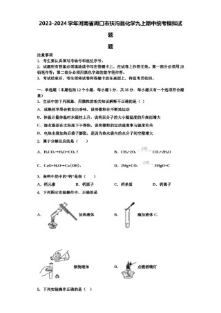 2023-2024学年河南省周口市扶沟县化学九上期中统考模拟试题含解析.doc