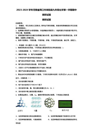 2023-2024学年河南省周口市淮阳县九年级化学第一学期期中调研试题含解析.doc