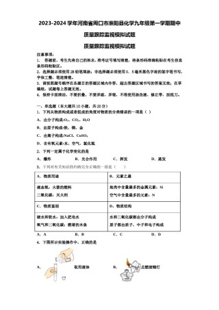 2023-2024学年河南省周口市淮阳县化学九年级第一学期期中质量跟踪监视模拟试题含解析.doc