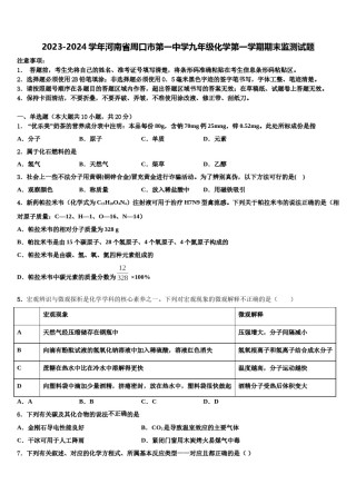 2023-2024学年河南省周口市第一中学九年级化学第一学期期末监测试题含解析.doc