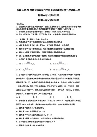 2023-2024学年河南省周口市第十初级中学化学九年级第一学期期中考试模拟试题含解析.doc