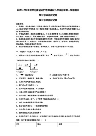 2023-2024学年河南省周口市郸城县九年级化学第一学期期中学业水平测试试题含解析.doc