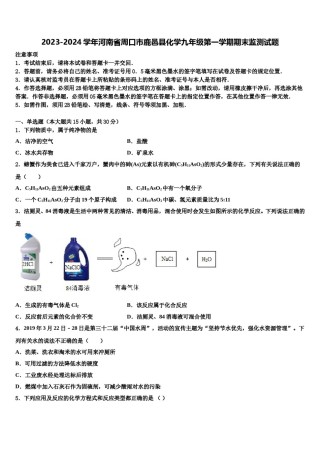 2023-2024学年河南省周口市鹿邑县化学九年级第一学期期末监测试题含解析.doc