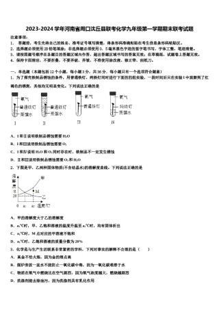2023-2024学年河南省周口沈丘县联考化学九年级第一学期期末联考试题含解析.doc