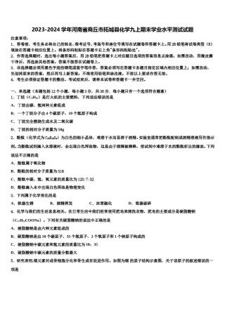 2023-2024学年河南省商丘市拓城县化学九上期末学业水平测试试题含解析.doc