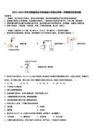 2023-2024学年河南省商丘市柘城县九年级化学第一学期期末检测试题含解析.doc