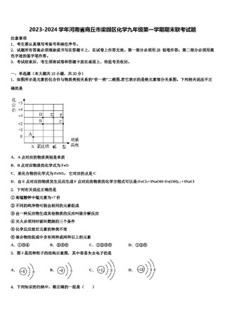 2023-2024学年河南省商丘市梁园区化学九年级第一学期期末联考试题含解析.doc