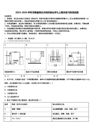 2023-2024学年河南省商丘市民权县化学九上期末复习检测试题含解析.doc