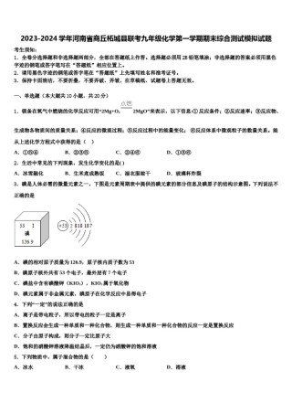2023-2024学年河南省商丘柘城县联考九年级化学第一学期期末综合测试模拟试题含解析.doc