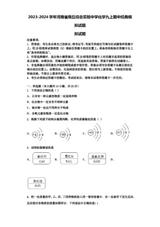2023-2024学年河南省商丘综合实验中学化学九上期中经典模拟试题含解析.doc