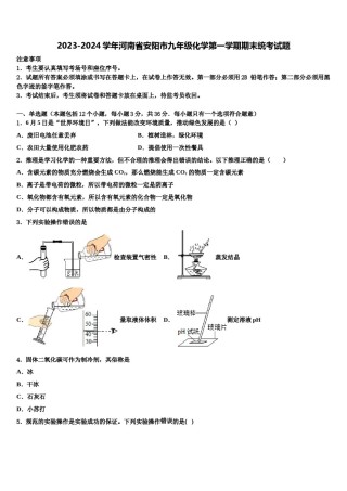 2023-2024学年河南省安阳市九年级化学第一学期期末统考试题含解析.doc
