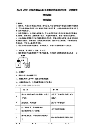 2023-2024学年河南省安阳市殷都区九年级化学第一学期期中检测试题含解析.doc