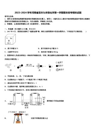 2023-2024学年河南省宝丰九年级化学第一学期期末统考模拟试题含解析.doc