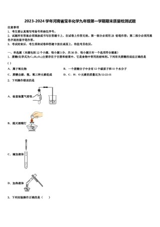 2023-2024学年河南省宝丰化学九年级第一学期期末质量检测试题含解析.doc