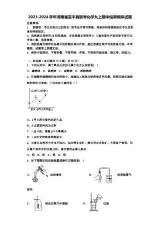 2023-2024学年河南省宝丰县联考化学九上期中经典模拟试题含解析.doc