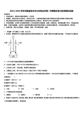 2023-2024学年河南省宝丰市九年级化学第一学期期末复习检测模拟试题含解析.doc