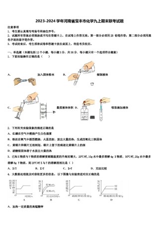 2023-2024学年河南省宝丰市化学九上期末联考试题含解析.doc