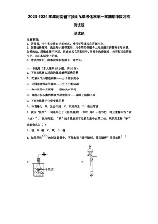 2023-2024学年河南省平顶山九年级化学第一学期期中复习检测试题含解析.doc