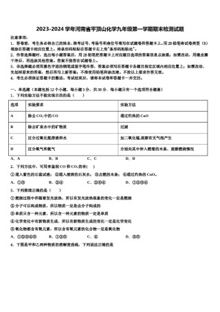 2023-2024学年河南省平顶山化学九年级第一学期期末检测试题含解析.doc