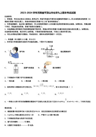 2023-2024学年河南省平顶山市化学九上期末考试试题含解析.doc